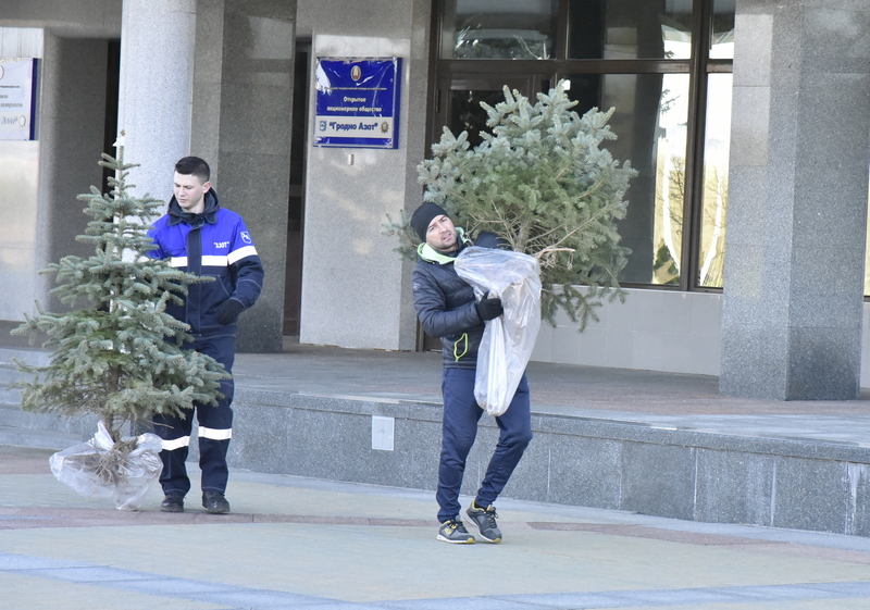субб 7.jpg